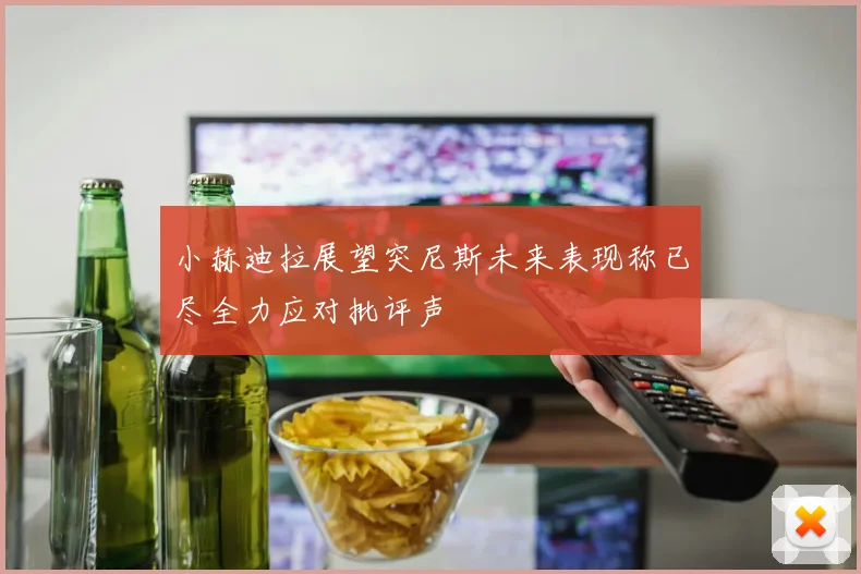 小赫迪拉展望突尼斯未来表现称已尽全力应对批评声