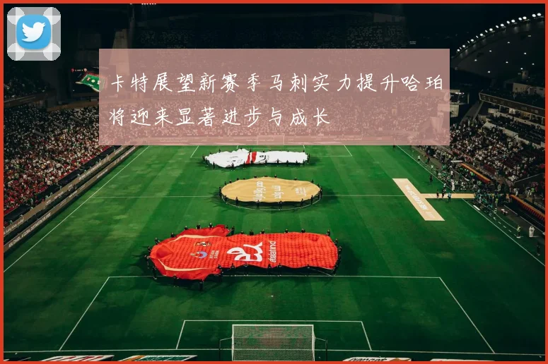 卡特展望新赛季马刺实力提升哈珀将迎来显著进步与成长